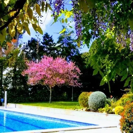Stil Mar Anna - Stil Mar Anna 4 Appartement L' Escala